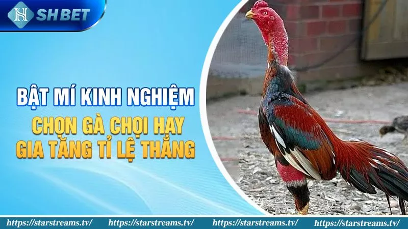 Ưu điểm của dịch vụ Fm88 - Fm88
