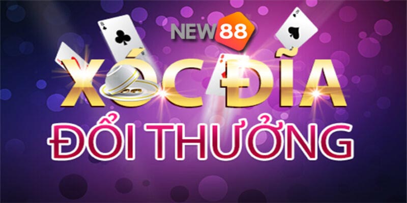 Tôi truy cập trang web chính thức của Gi8, không phải thông qua máy chủ proxy - Gi8