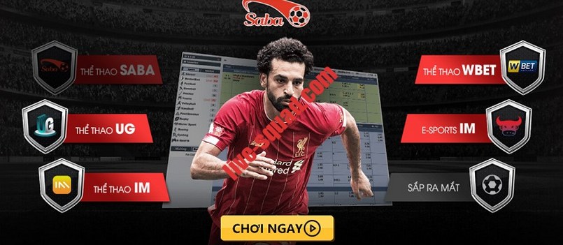 Việc tham gia các cuộc thi thể thao cấp M8win có phải là bất hợp pháp không? - M8win