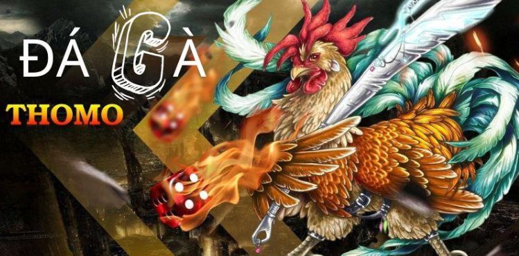 Thông tin về các trò chơi/máy đánh bạc 123Win - 123Win