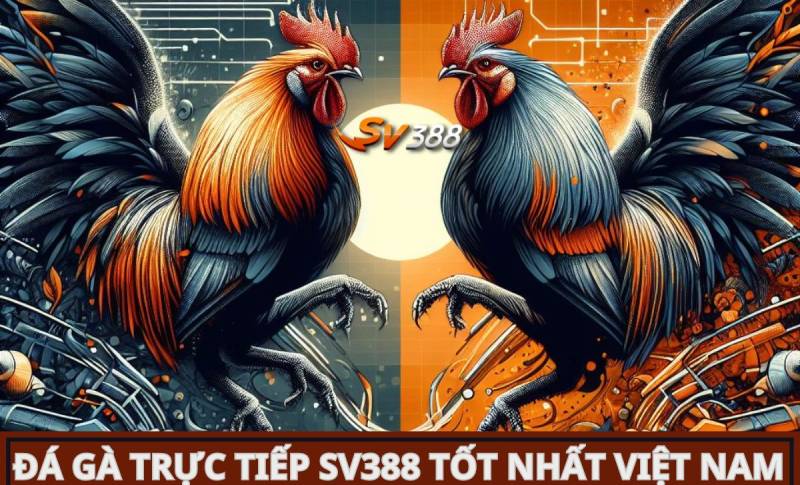 Đây là lý do tại sao các trò chơi cấp độ Winvn có thể thu hút rất nhiều người chơi - Winvn