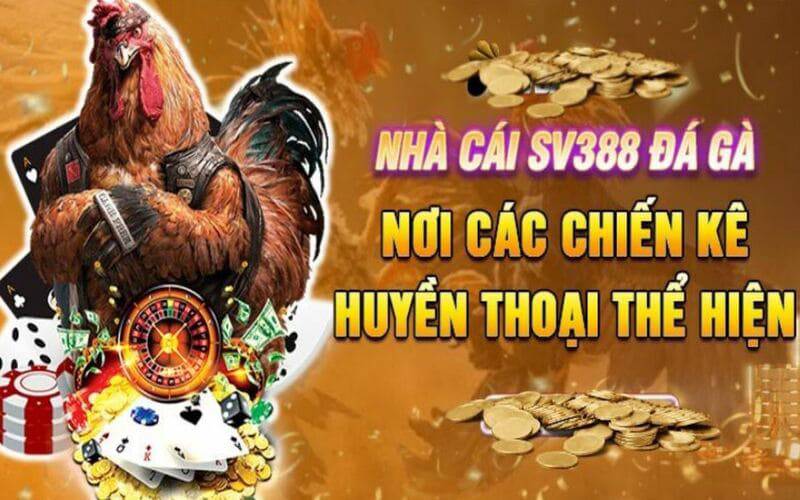 Đánh giá của khách hàng về các công viên giải trí hạng Tp88 - Tp88