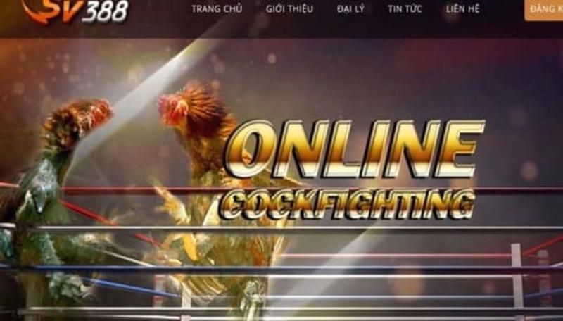 Ưu điểm của ứng dụng trò chơi Câu lạc bộ 6Ff - 6Ff