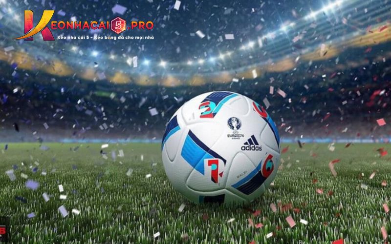 Câu hỏi: 7Ball có phải là một trò lừa đảo không? - 7Ball