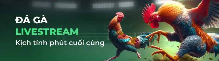 Tổng quan về vị trí Benbet - Benbet